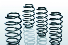 Eibach E1019-140 Pro-Kit Lowering Springs