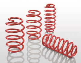 Eibach E20-10-002-02-22 Sportline springs